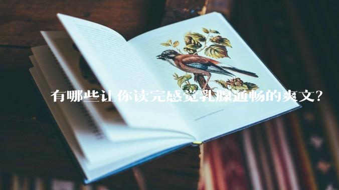 有哪些让你读完感觉乳腺通畅的爽文？