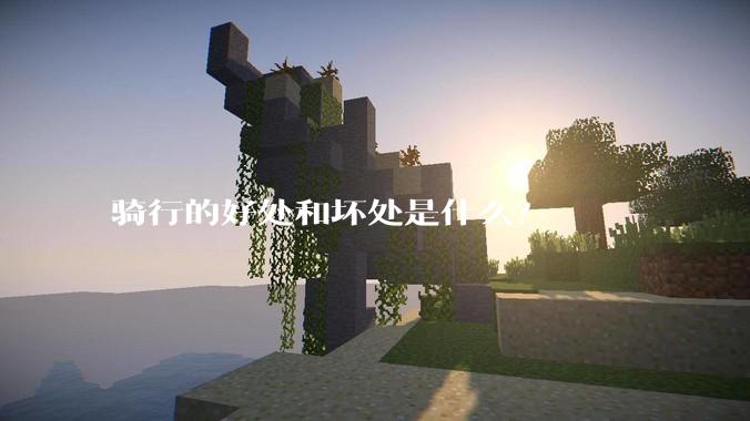 骑行的好处和坏处是什么？